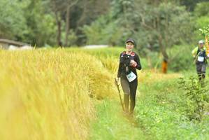 BIB: 
                            <button type="button" onclick="openModal(13435055)" class="btn btn-primary btn-sm float-right btn-popup" data-toggle="modal" data-target=".modal-high-quality">
                        <i class="fas fa-shopping-cart"></i> Add to Cart
                    </button>
                                            <button type="button" onclick="isThisMe(13435055, true)" class="btn btn-success btn-sm float-right btn-popup btn-isme hidden" data-toggle="tooltip" data-placement="bottom" title="นี่คือรูปของคุณใช่ไหม คลิกที่นี่เพื่อเอาเข้าอัลบั้ม">
                        <i class="fas fa-plus"></i> Add to album
                    </button>
                    <button type="button" onclick="isThisMe(13435055, false)" class="btn btn-warning btn-sm float-right btn-popup btn-isnotme hidden">
                        <i class="fas fa-ban"></i> Remove from album
                    </button>